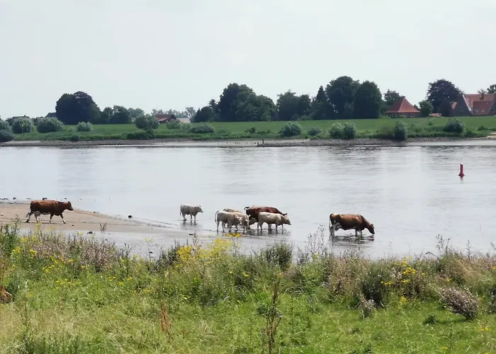 Haus Am Deich 47 Stilvolles An Der Elbe In Stadtnaehe Holiday home *