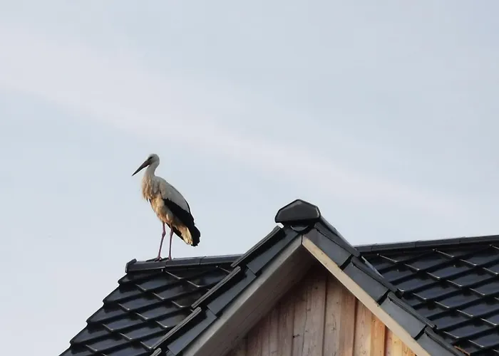 Dom wakacyjny Haus Am Deich 47 Stilvolles An Der Elbe In Stadtnaehe